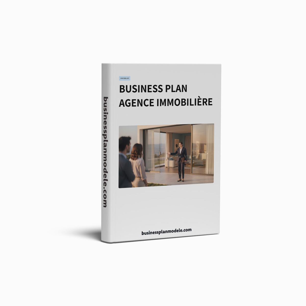 Business Plan Agence Immobilière