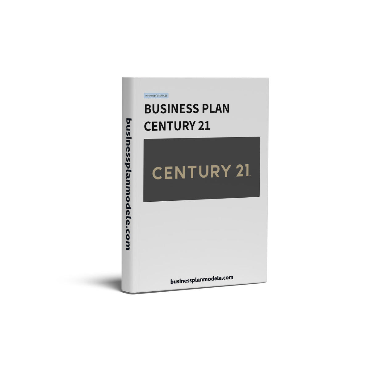 Business Plan Franchise Century 21