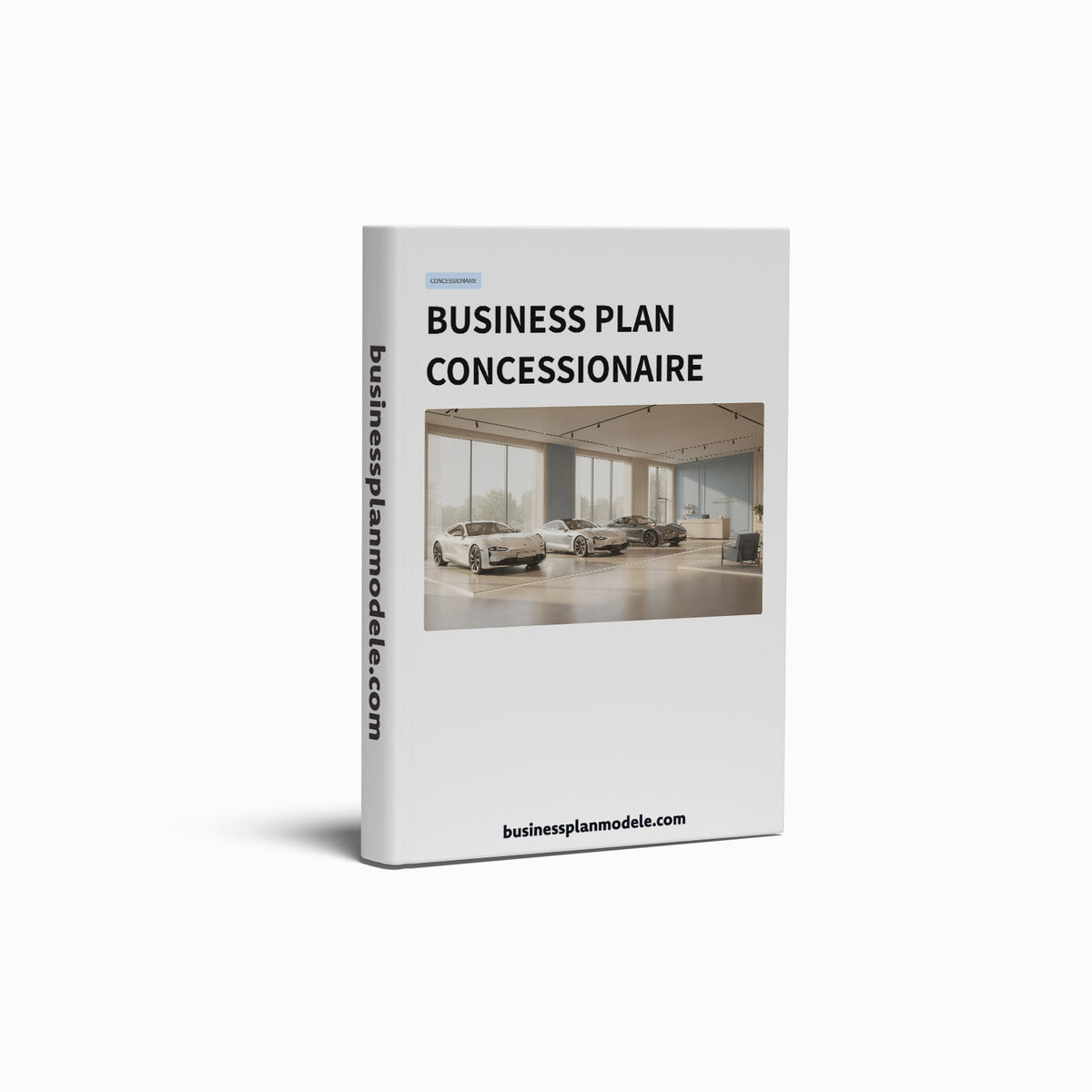 Business Plan Concessionaire Automobile