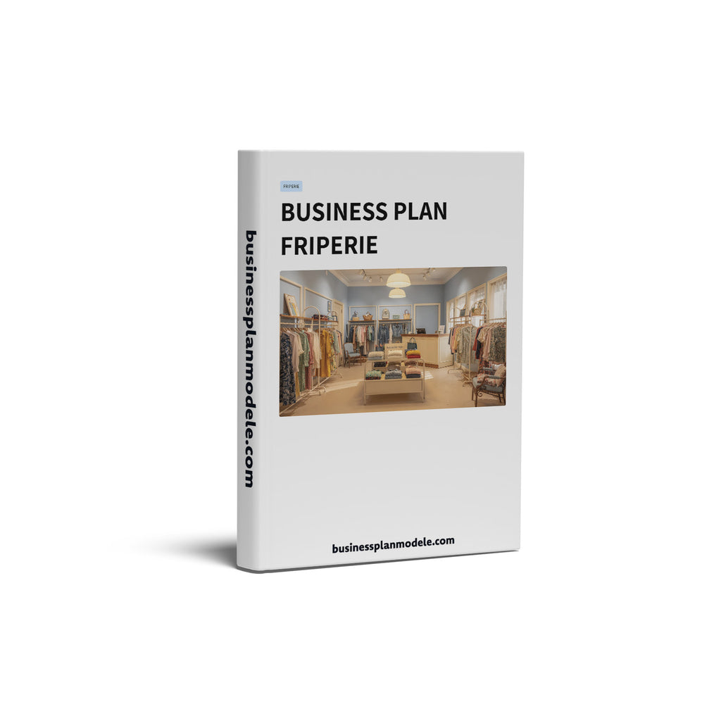 Business Plan Friperie
