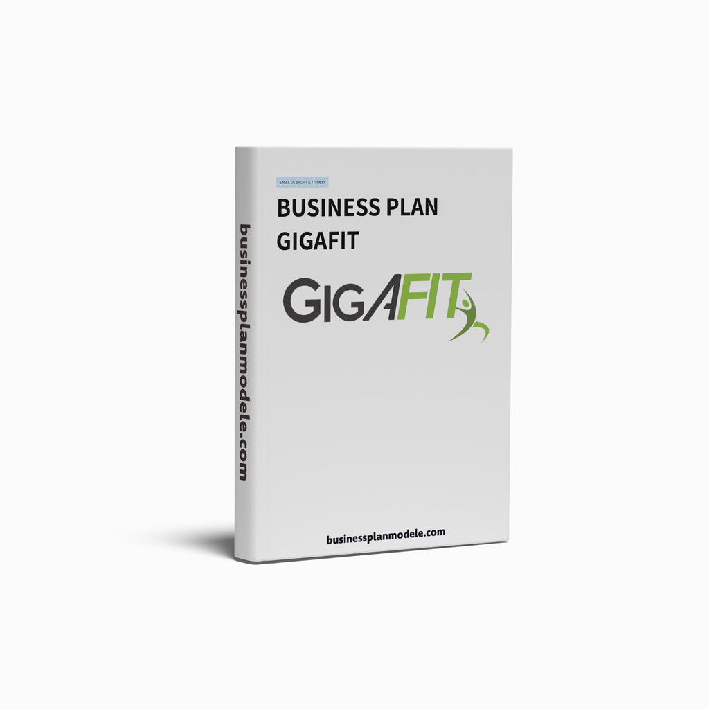 Business Plan Franchise Gigafit
