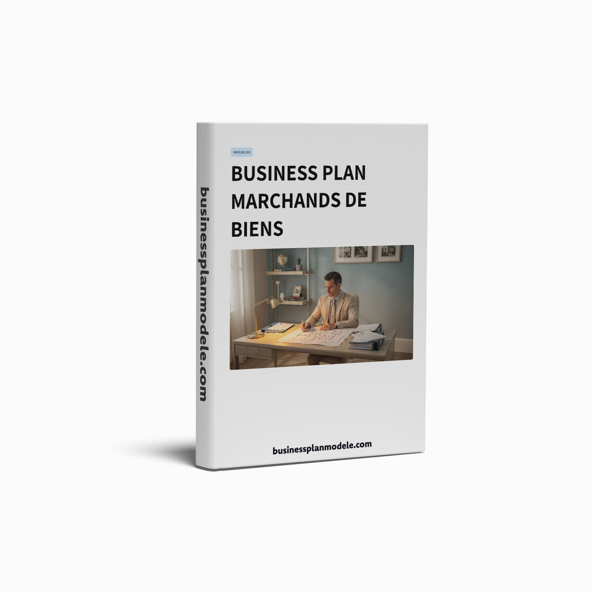 Business Plan Marchands de biens