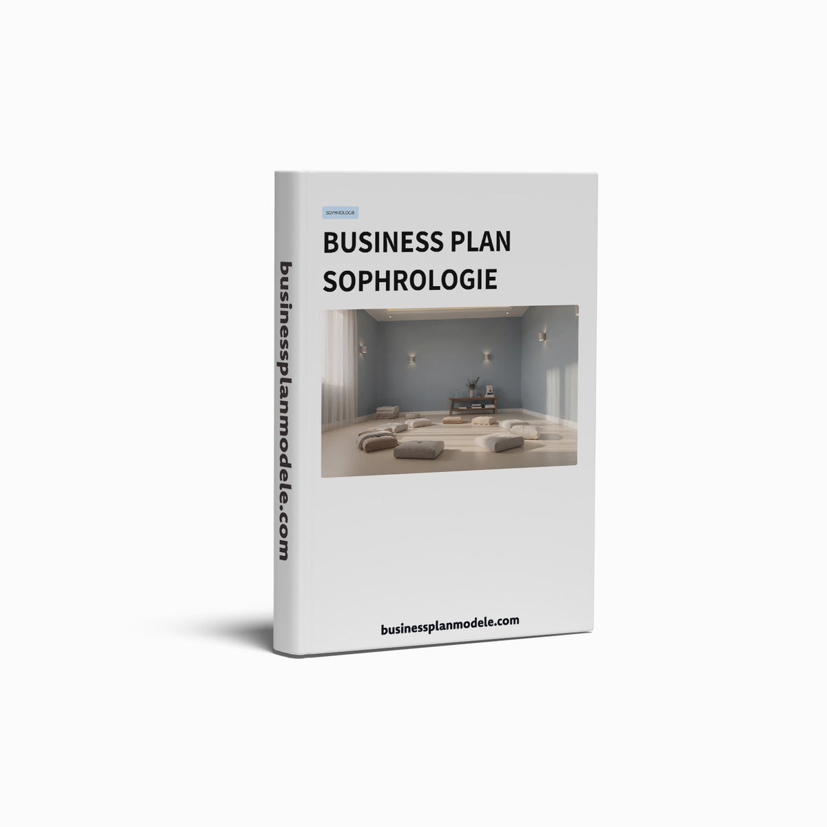 Business Plan Sophrologie