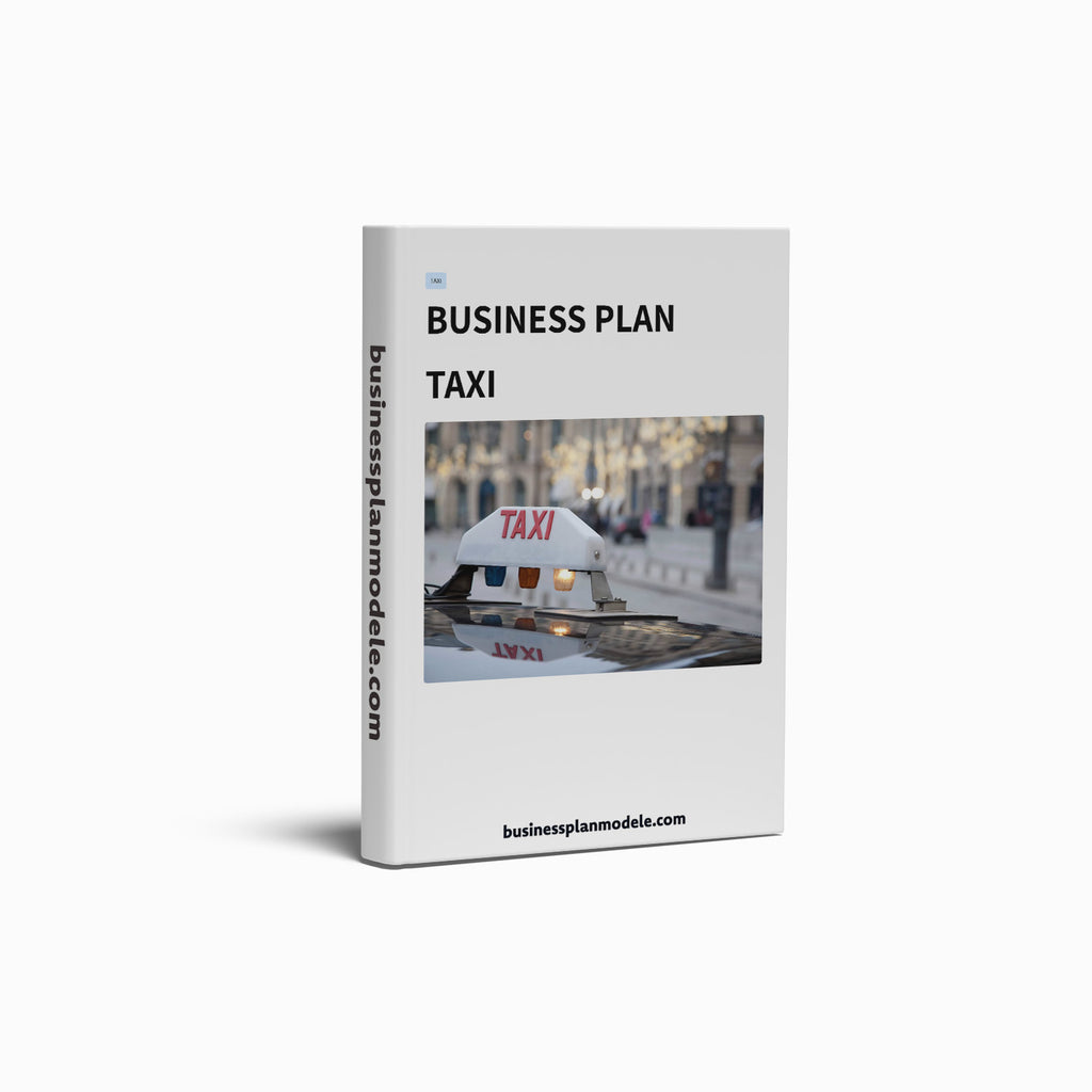 Business Plan Chauffeur de Taxi