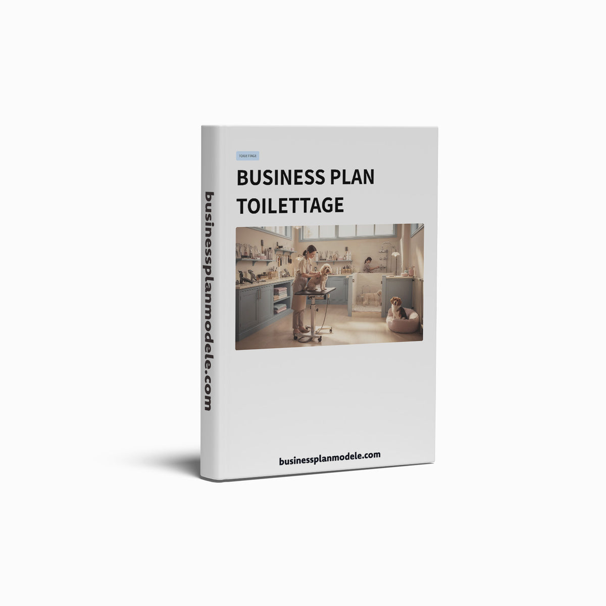 Business Plan Salon de Toilettage