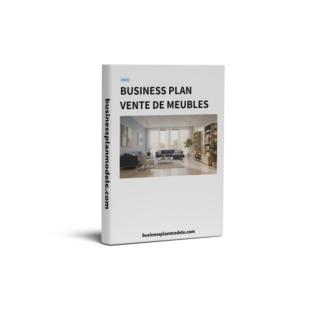 Business Plan Vente de Meubles